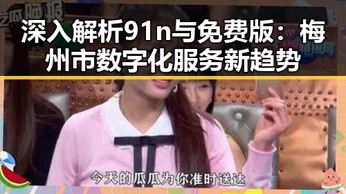 深入解析91n与免费版：梅州市数字化服务新趋势