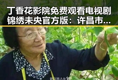 丁香花影院免费观看电视剧锦绣未央官方版：许昌市观众的新宠