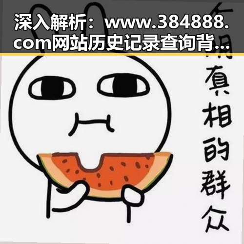 深入解析：www.384888.com网站历史记录查询背后的意义