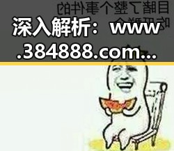 深入解析：www.384888.com网站历史记录查询背后的意义