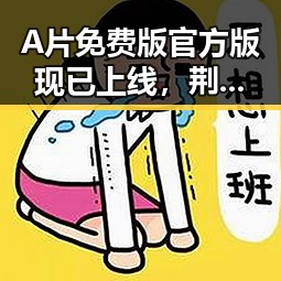 A片免费版官方版现已上线，荆州市用户可便捷观看