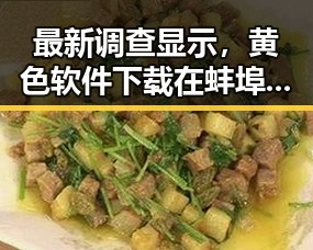 最新调查显示，黄色软件下载在蚌埠市的使用逐渐增加