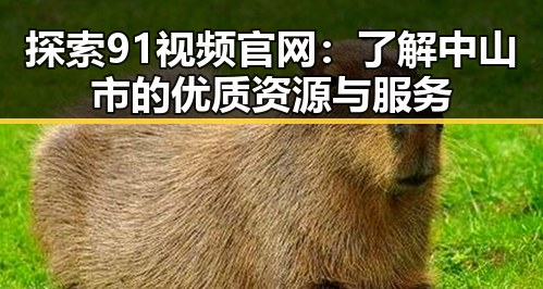 探索91视频官网：了解中山市的优质资源与服务