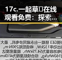 17c.一起草🌿在线观看免费：探索娱乐圈吃瓜态度与网民反应