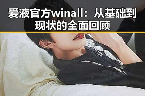 爱液官方winall：从基础到现状的全面回顾
