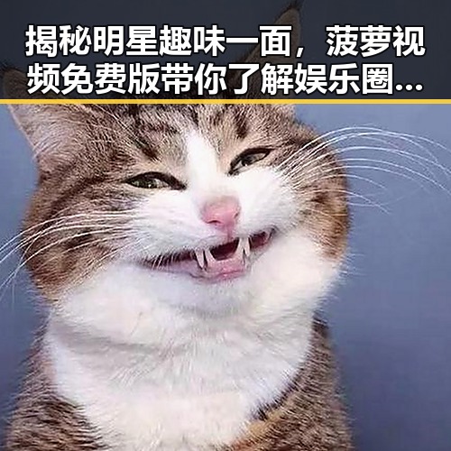揭秘明星趣味一面,菠萝视频免费版带你了解娱乐圈最新动态
