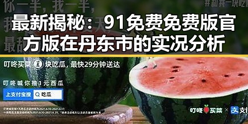 最新揭秘：91免费免费版官方版在丹东市的实况分析