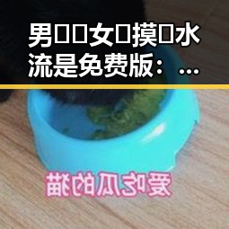 男🍌❌女🍑摸🐻水流是免费版：黄冈市关于网络娱乐内容的现状分析