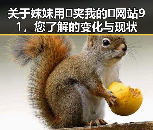 关于妺妺用🐻夹我的🍌网站91，您了解的变化与现状