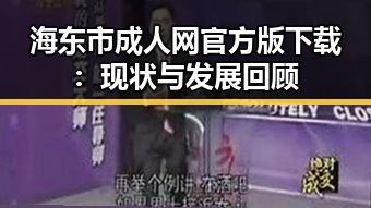 海东市成人网官方版下载：现状与发展回顾
