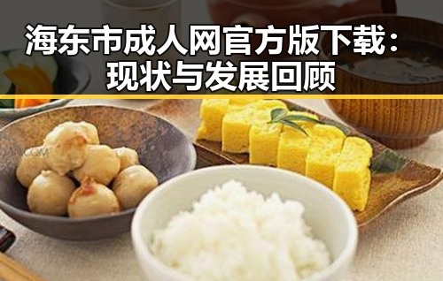 海东市成人网官方版下载：现状与发展回顾