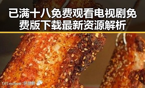 已满十八免费观看电视剧免费版下载最新资源解析