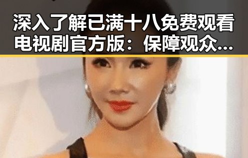 深入了解已满十八免费观看电视剧官方版：保障观众权益的官方渠道