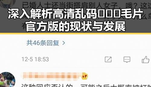 深入解析高清乱码🔞❌♋毛片官方版的现状与发展