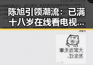 陈旭引领潮流：已满十八岁在线看电视剧官方版详解
