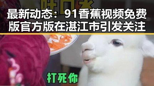 最新动态：91香蕉视频免费版官方版在湛江市引发关注
