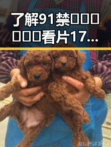 了解91禁🍆🍑🔞❌❌❌看片17cco最新版下载：遂宁市用户的最新选择