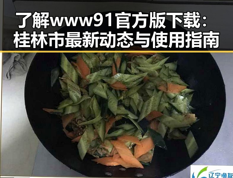 了解www91官方版下载：桂林市最新动态与使用指南