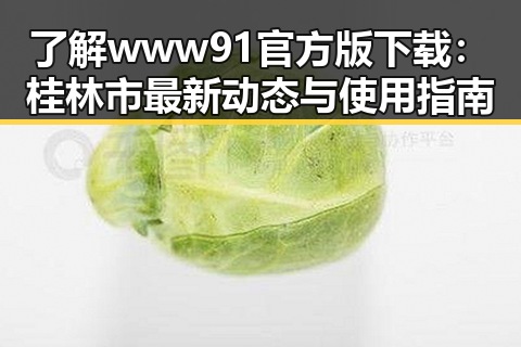 了解www91官方版下载：桂林市最新动态与使用指南