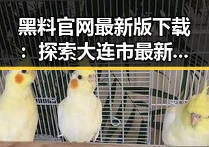 黑料 官网最新版下载：探索大连市最新资源与动态