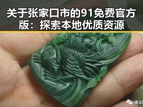 关于张家口市的91免费官方版:探索本地优质资源