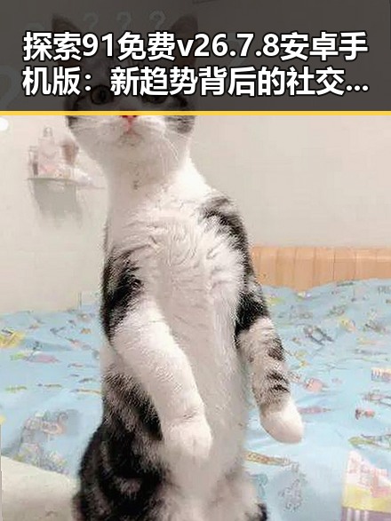 探索91免费v26.7.8 安卓手机版：新趋势背后的社交与娱乐变革