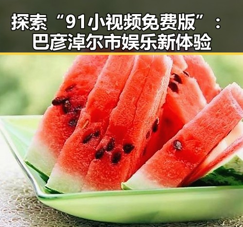 探索“91小视频免费版”：巴彦淖尔市娱乐新体验