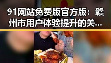 91网站免费版官方版：赣州市用户体验提升的关键工具