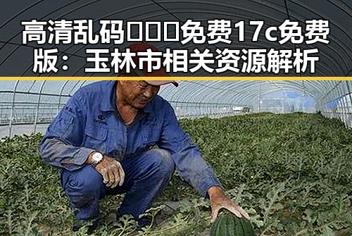 高清乱码🔞❌♋免费17c免费版：玉林市相关资源解析