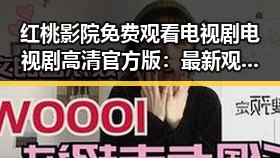 红桃影院免费观看电视剧电视剧高清官方版：最新观看指南