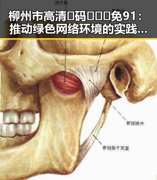 柳州市高清🈚码🔞❌♋免91：推动绿色网络环境的实践探索