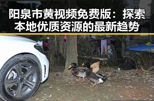 阳泉市黄视频免费版：探索本地优质资源的最新趋势