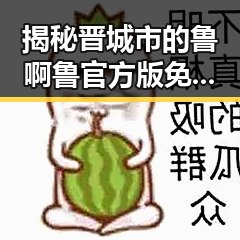 揭秘晋城市的鲁啊鲁官方版免费版：探索最新版本亮点