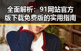 全面解析：91网站官方版下载免费版的实用指南