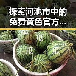 探索河池市中的免费黄色官方免费版资源现状