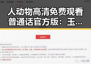 人动物高清免费观看普通话官方版：玉溪市最新观影指南