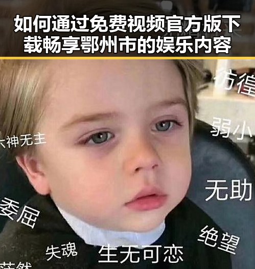如何通过免费视频官方版下载畅享鄂州市的娱乐内容