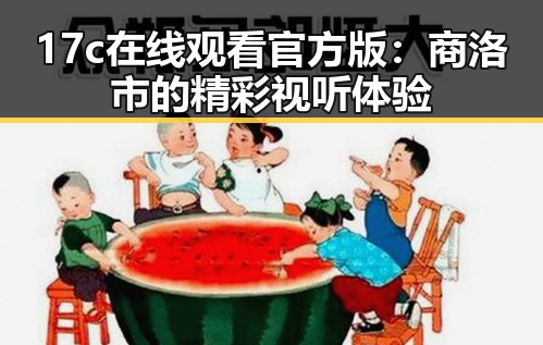 17c在线观看官方版：商洛市的精彩视听体验