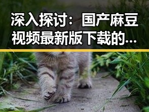 深入探讨：国产麻豆视频最新版下载的最新动态