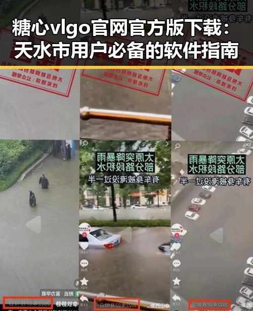 糖心vlgo官网官方版下载：天水市用户必备的软件指南