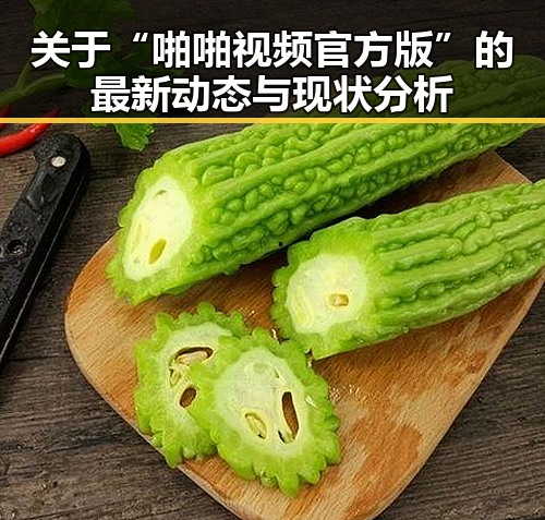 关于“啪啪视频官方版”的最新动态与现状分析