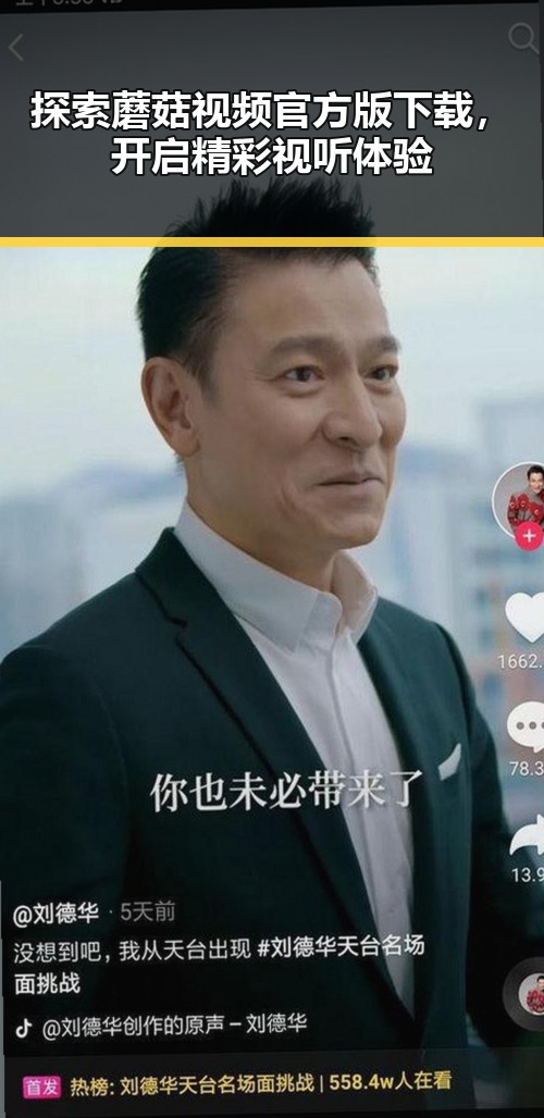 探索蘑菇视频官方版下载，开启精彩视听体验
