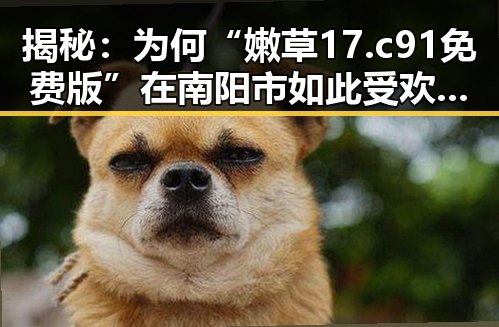 揭秘：为何“嫩草17.c 91免费版”在南阳市如此受欢迎？