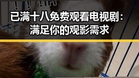 已满十八免费观看电视剧：满足你的观影需求