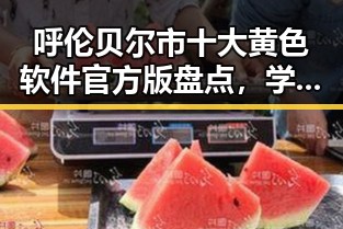 呼伦贝尔市十大黄色软件官方版盘点，学生与上班族的隐秘选择