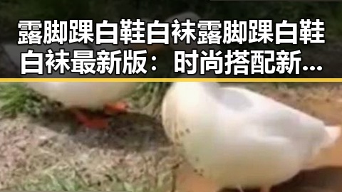 露脚踝白鞋白袜露脚踝白鞋白袜最新版：时尚搭配新趋势