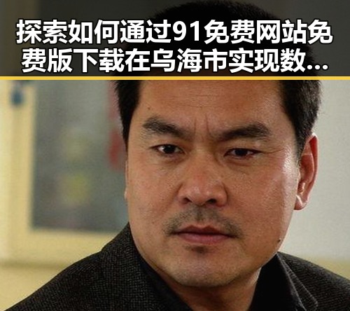 探索如何通过91免费网站免费版下载在乌海市实现数字化转型