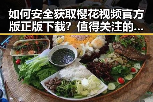 如何安全获取樱花视频官方版正版下载？值得关注的细节与背景