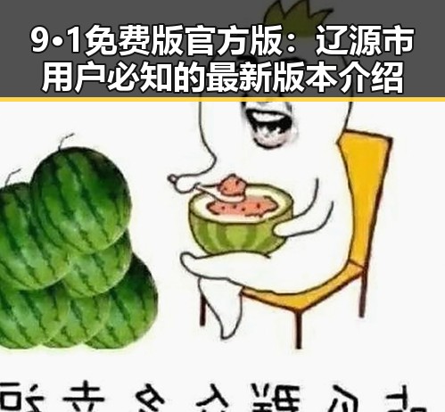 9·1免费版官方版：辽源市用户必知的最新版本介绍