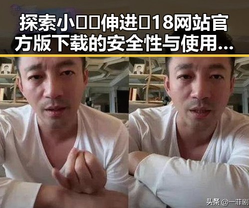 探索小🐔🐔伸进🈲18网站官方版下载的安全性与使用体验
